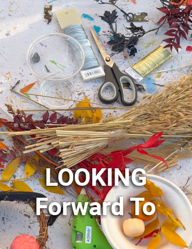 Crafty-Chassis-Home-Gallery-Image-looking forward to2